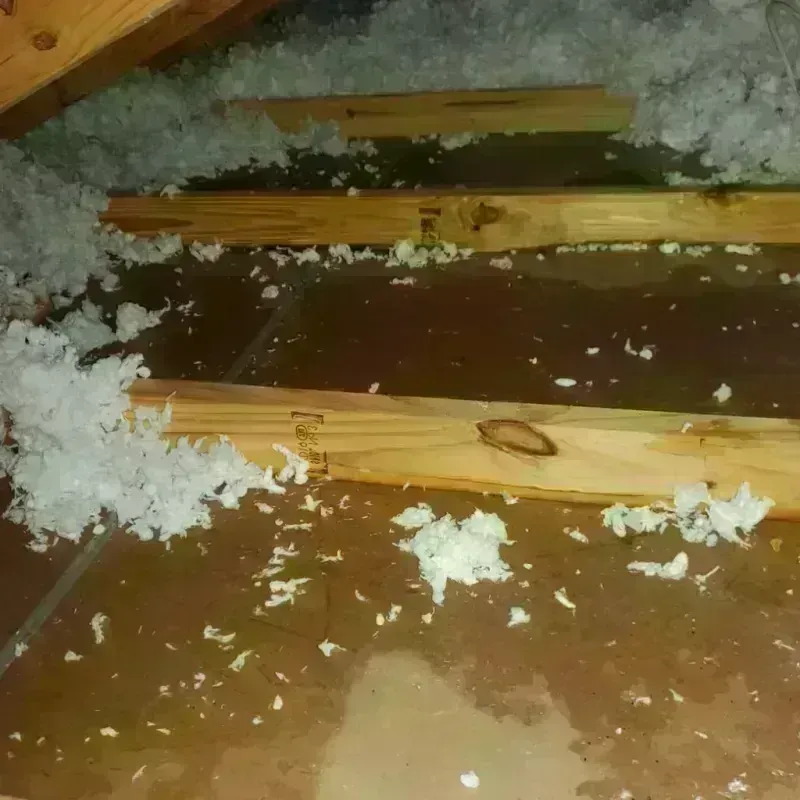 Attic Water Damage in Lula, GA