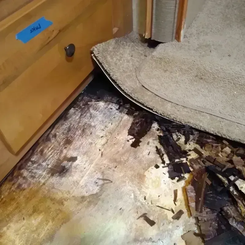 Wood Floor Water Damage in Lula, GA